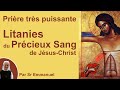 Litanies du Précieux Sang, une prière puissante, par Sr Emmanuel de  Medjugorje