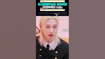 고랩 vs 쪼랩 🥴🤗 필릭스의 고군분투 토크쇼 #felix #straykids