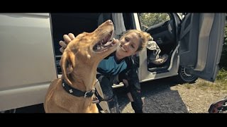 Traildog  'Nalas Dream' | The story of a lovely dog!