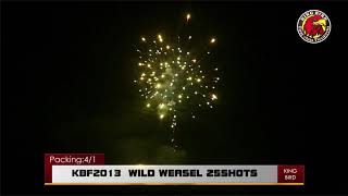 58 KBF2013 wmv