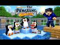 🔥 Mapa dos Pinguins de Madagascar no Minecraft Bedrock e Java 2026 🐧Download!