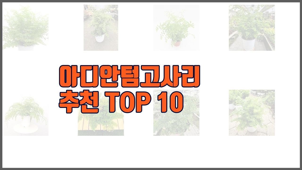 아디안텀고사리 추천 구매자들이 선택한 품질 좋은 상품 10가지