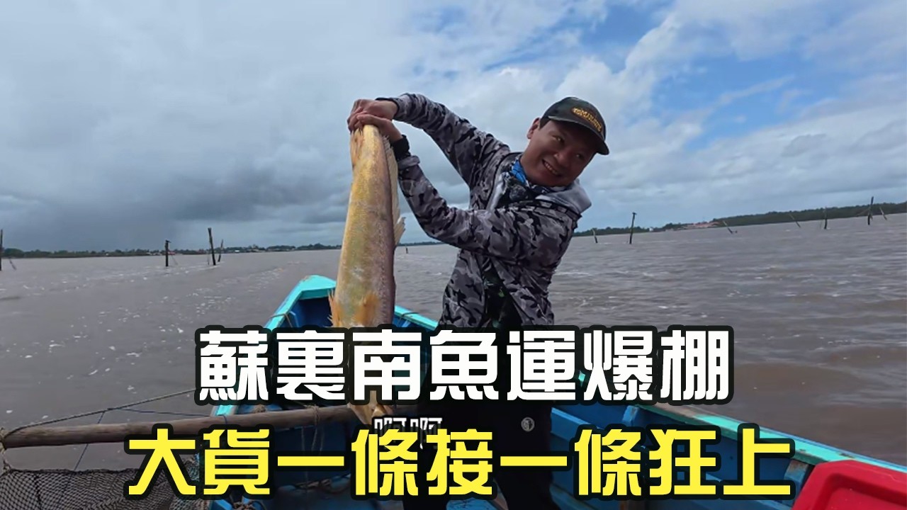 蘇裏南魚運爆棚，大貨壹條接壹條狂上#阿牛愛捕魚 #趕海 #熱門 #蘇裏南