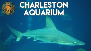 Charleston South Carolina Aquarium Walkthrough