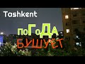 Uzbekistan Tashkent  ПОГОДА БУШУЕТ