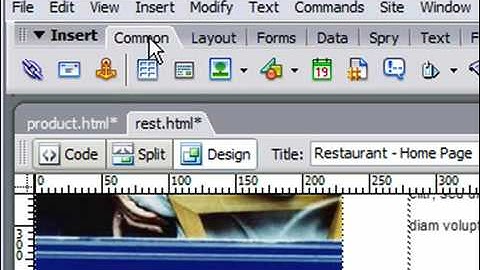 Insert the Date and Time in Dreamweaver CS3