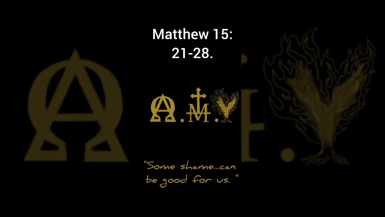 𝙎𝙤𝙢𝙚 shame...Can be good for us. 