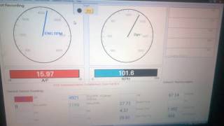 Performance Trends Dyno Datamite