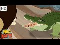 Wildlife Adventure Quiz
