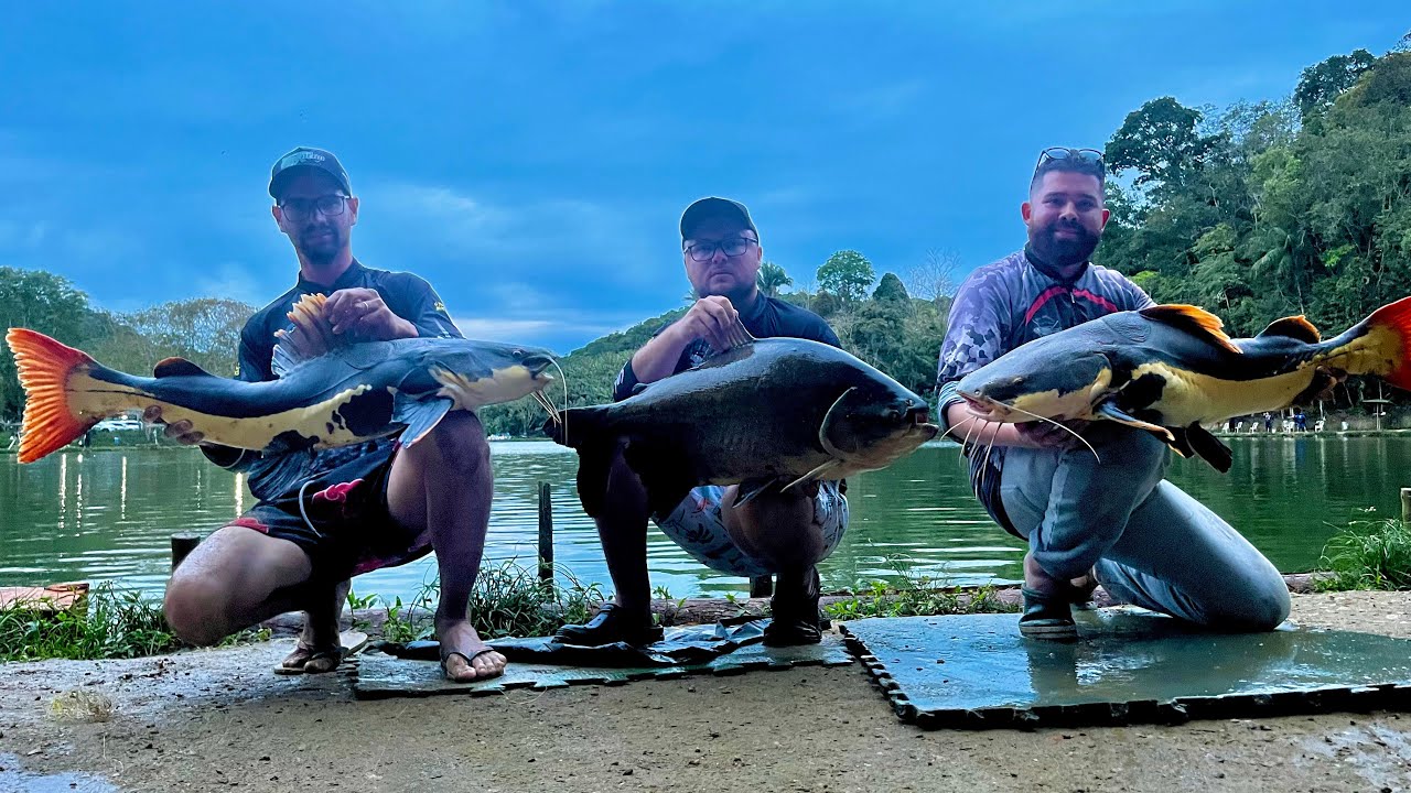 Média incrível do 3 irmãos, teve trintada e o sonho da Pirarara