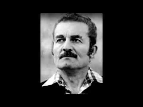 ვახო გოგილავა.  ,,დუეტი  ჰამლეტ გონაშვილთან,,