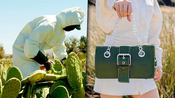 Mexicanos crean piel de nopal para salvar a los animales