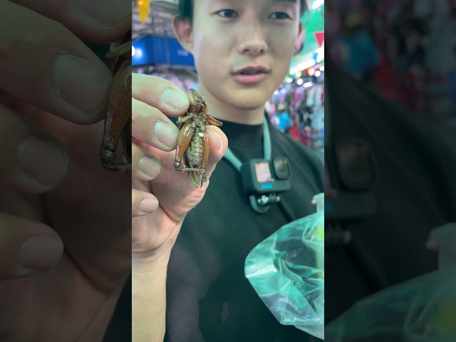 コオロギ🦗は⭕️⭕️の味だった in カンボジア🇰🇭 #asmr #shorts