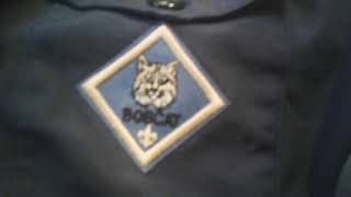 Earned my bobcat badge in cub scouts. Pack 360