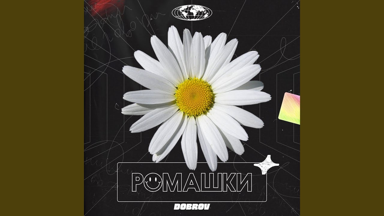 Песня ромашки 2024 слушать. Ромашки песня. Ромашки любовь. Юра шатунов белые ромашки. Ivshina ромашки.