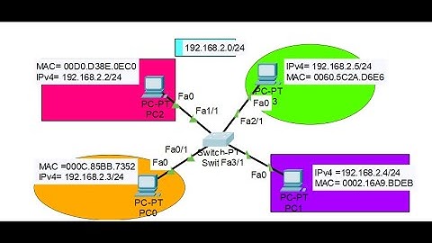 Mac address Table ( Packet Tracer). Part-2