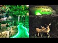 Rainforest resto bar phoenix market city viman nagar pune pune