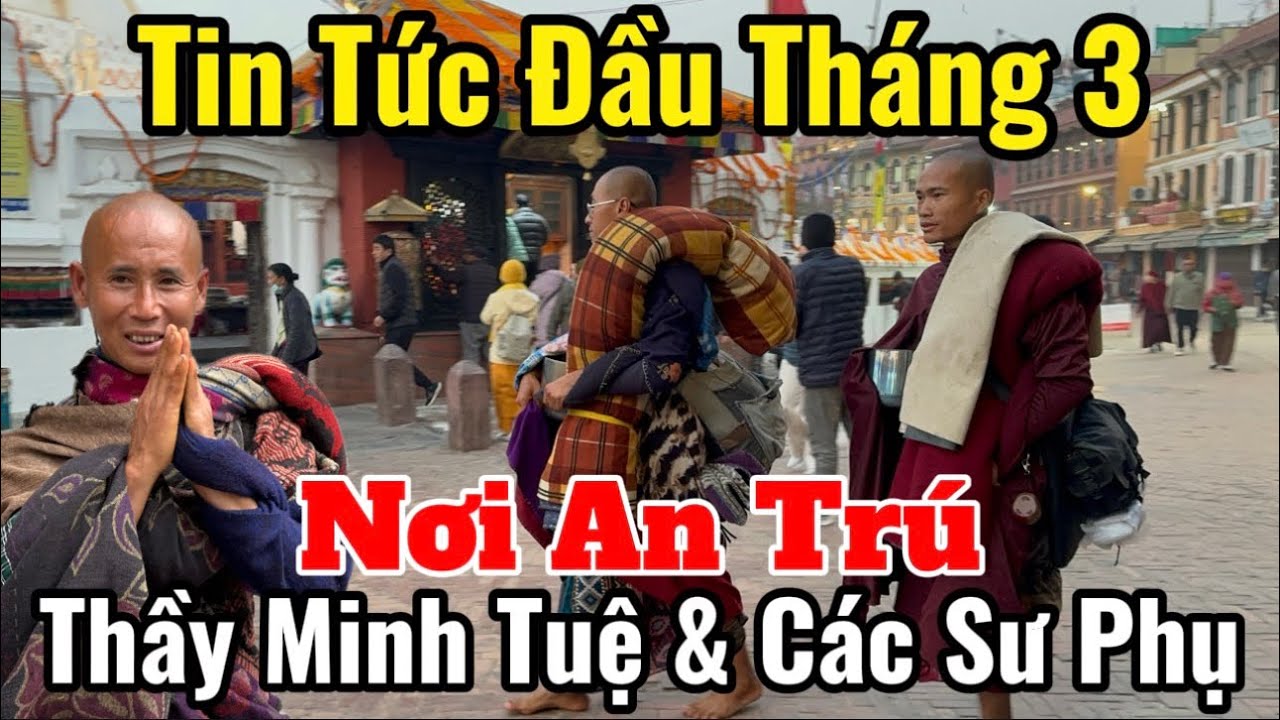 Tin Tức Đầu Tháng3 Thầy Minh Tuệ & Các Sư Phụ | Ngày Đầu Tháng Diễn Biến Mới Như Thế Nào? #suminhtue