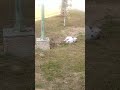 وانا ماشیه الصبح الساعه 8والله حسیت انه وشه مبتسم لیا وانا بصوره 