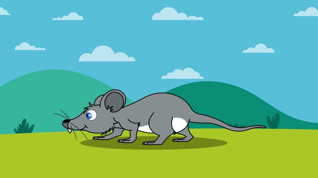 The Little Explorer’s Journey