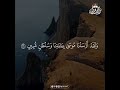 Most Relaxing Quran Recitation for Mind Calming and Spiritual Serenity #HolyQuran #Healing
