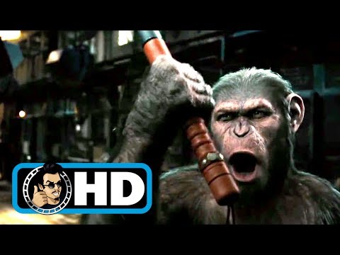 rise-of-the-planet-of-the-apes-(2011)-movie-clip---zoo-escape-|full-hd|-andy-serkis