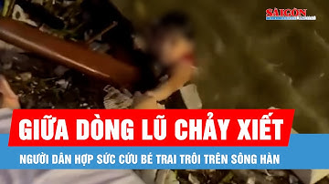 Người dân hợp sức cứu bé trai trôi trên sông Hàn