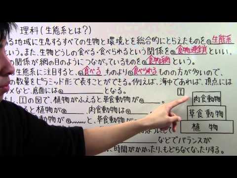 【中３　理科】　　中３－５２　　生態系とは？