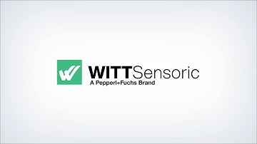 Together into a New Dimension—Pepperl+Fuchs and WITT Sensoric