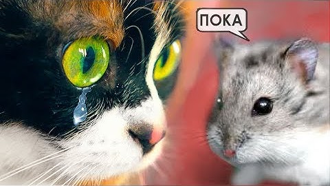 СТЕПЫ БОЛЬШЕ НЕТ...