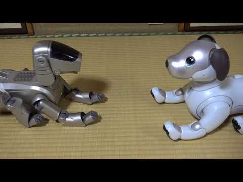 その他 aibo img_9877-600x360.jpg
