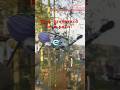 Part of the sword battle. #shorts #gaming #trending #palworld #gameplay