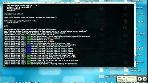 How to run OpenERP Server dan Client v 6 on MAC OSX Snow Leopard 10.6