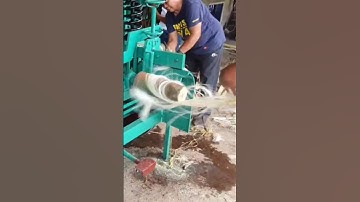 Abaca Fiber Extraction