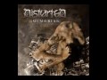 Distorted - Is It The Wind