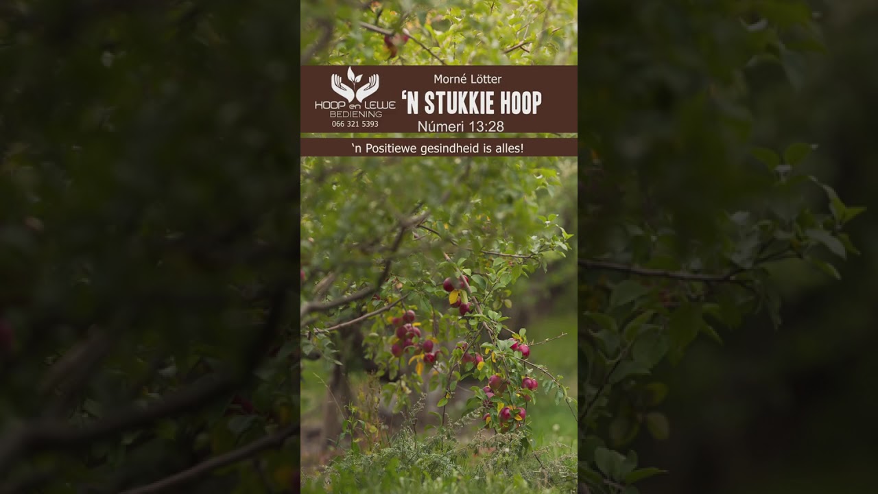 n Positiewe gesindheid is alles? (25-11-2025)