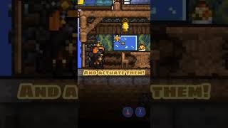 Terraria Builds you must learn!