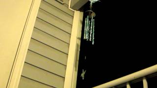 Sounds of the Windchime - Hummingbird Windchime
