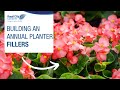 Get growing series building an annual planter  fillers  royal city nursery