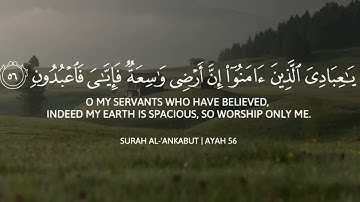 قرآن كريم للمساعدة على نوم عميق بسرعة   قران كريم بصوت جميل جدا جدا قبل النوم 😌🎧 راحة نفسية لا توص