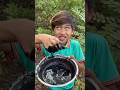 Survival Skills: SMART idea andUSEFULin Forest #bushcraft#camping#outdoors#survivalX27