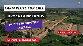 Oryza Farmlands  917669414525  Farm Plots For Sale In Mucherla Hyderabad  plotsforsale