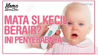 Mata Si Kecil Berair? Ini Penyebabnya
