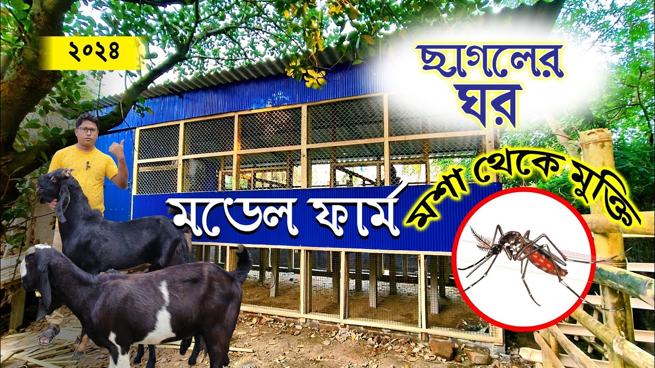 সম্পূর্ণ বিজ্ঞান সম্মত ছাগলের ঘর | 💥 💥 Scientific Goat Shed 🐐