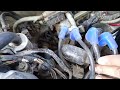 Suzuki liana ignition system explained by car doctor pro Urdu 