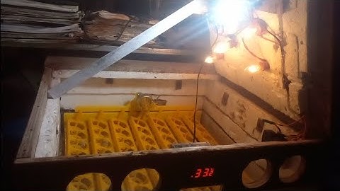 Another Incubator repair (STC-1000) Thermostat restored