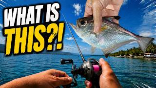 Saltwater BFS Fishing in the Philippines Didn’t Go as Planned screenshot 4