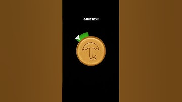 First try world champion