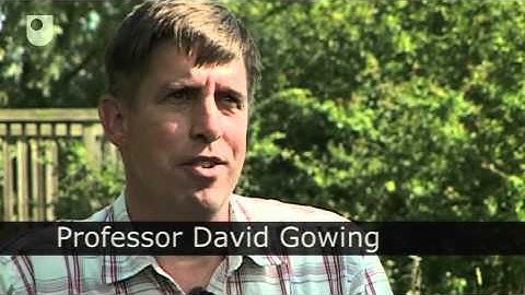 Recycling Carbon - Ecosystems: The Carbon Cycle (2/3)