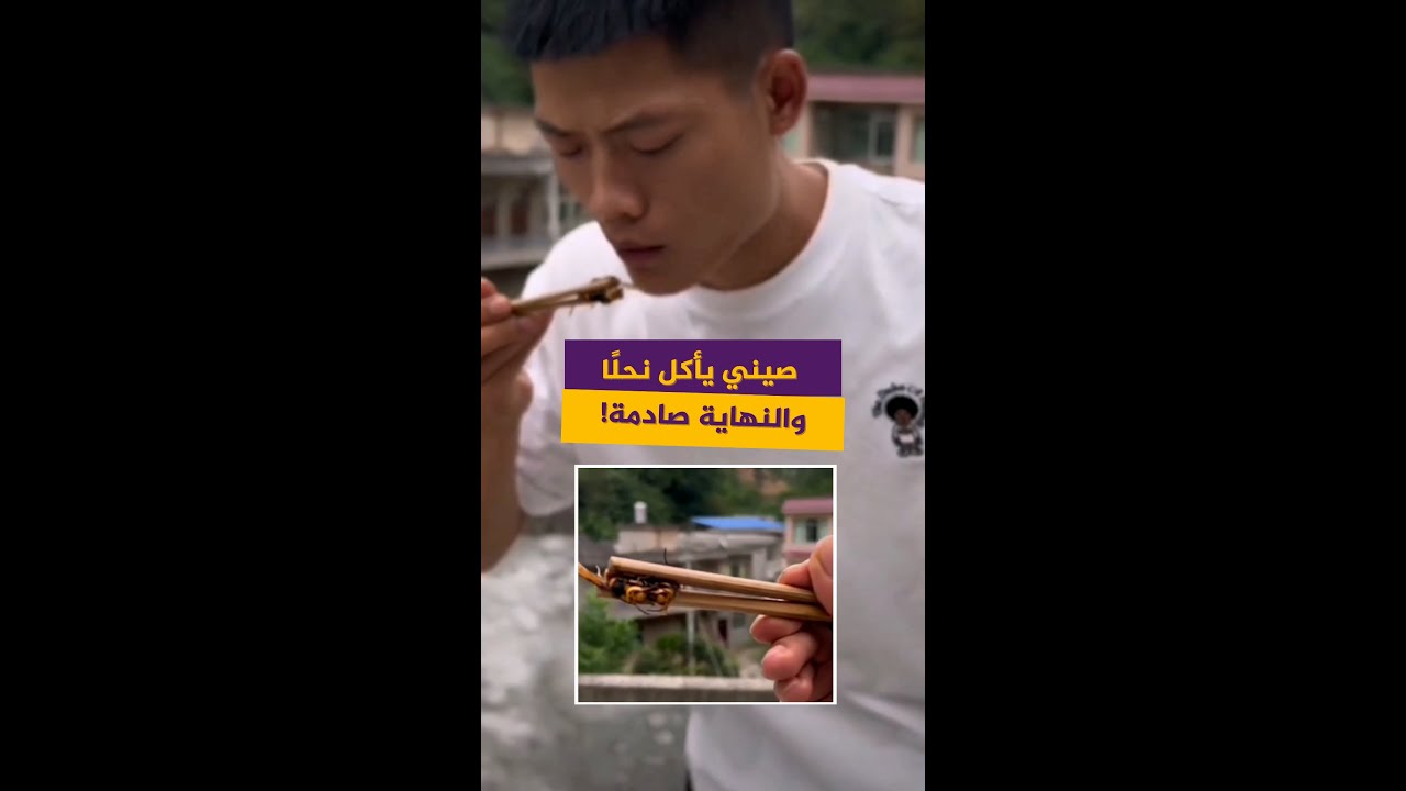 صيني يأكل نحلًا من أجل كسب المشاهدات.. والنهاية كانت صادمة!